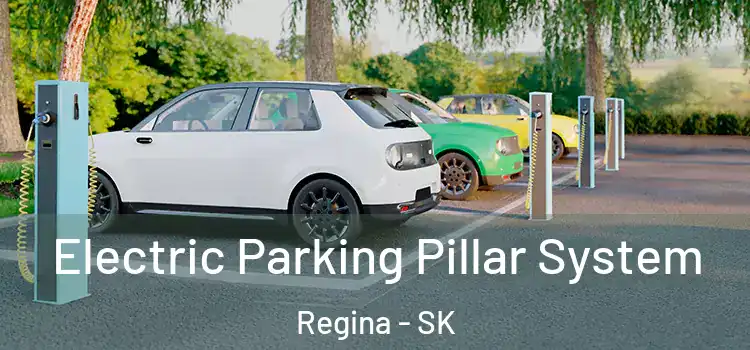 Electric Parking Pillar System Regina - SK