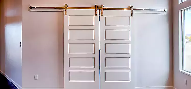 Glass Barn Door with Installation Hardware Kit Regina