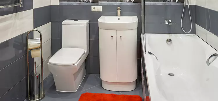 Hansgrohe Shaving Mirror Regina
